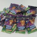 Possum Poop